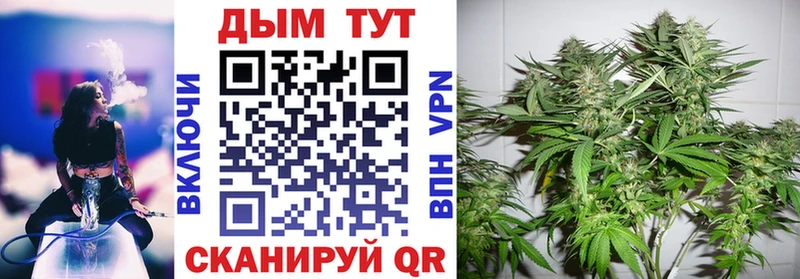 Бошки марихуана Bruce Banner  как найти закладки  Щёкино 